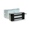 Picture of Miniature Weather Proof Magnet