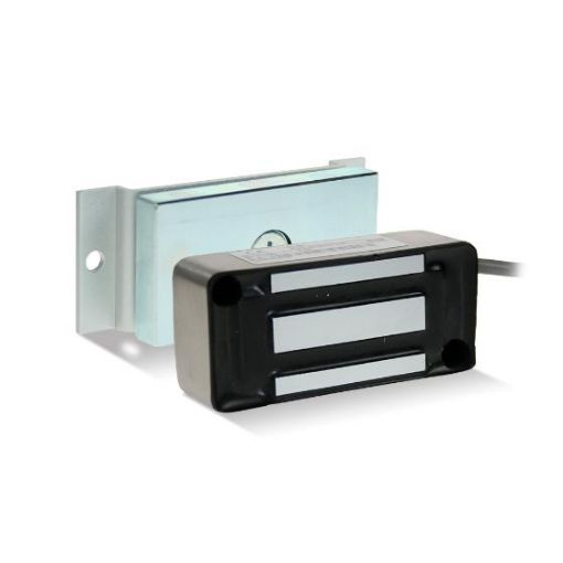 Picture of Miniature Weather Proof Magnet